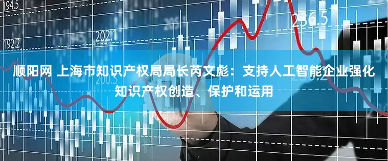 顺阳网 上海市知识产权局局长芮文彪：支持人工智能企业强化知识产权创造、保护和运用