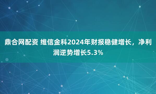 鼎合网配资 维信金科2024年财报稳健增长，净利润逆势增长5.3%