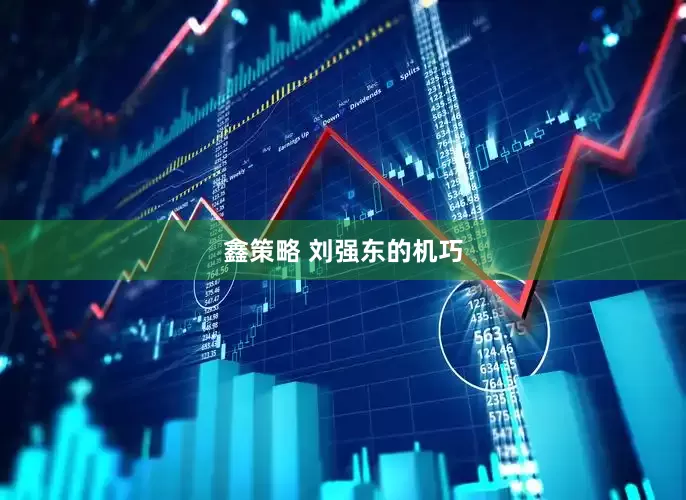 鑫策略 刘强东的机巧