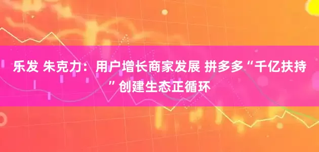 乐发 朱克力：用户增长商家发展 拼多多“千亿扶持”创建生态正循环